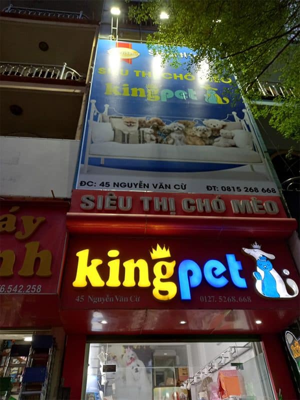 Bảng hiệu petshop tại quận 1